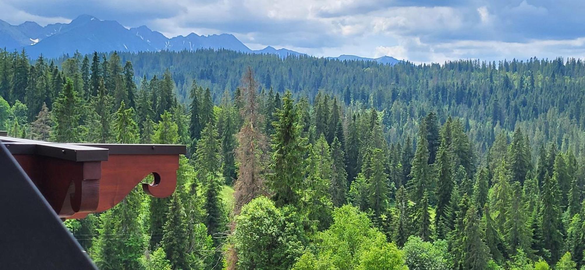 Jedla Miejsce Goscinne Bukowina Tatrzańska Buitenkant foto